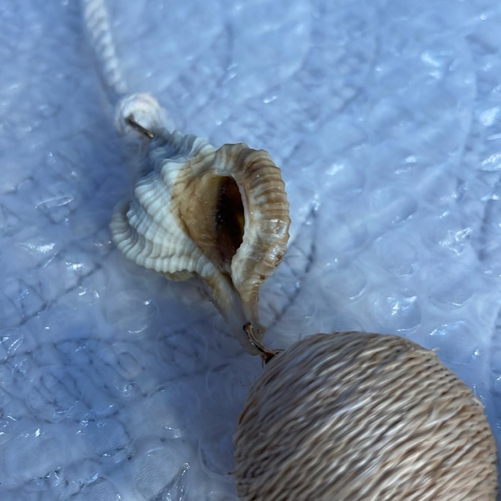 Shell necklace. Statement, chunky. - Picture 3 of 3